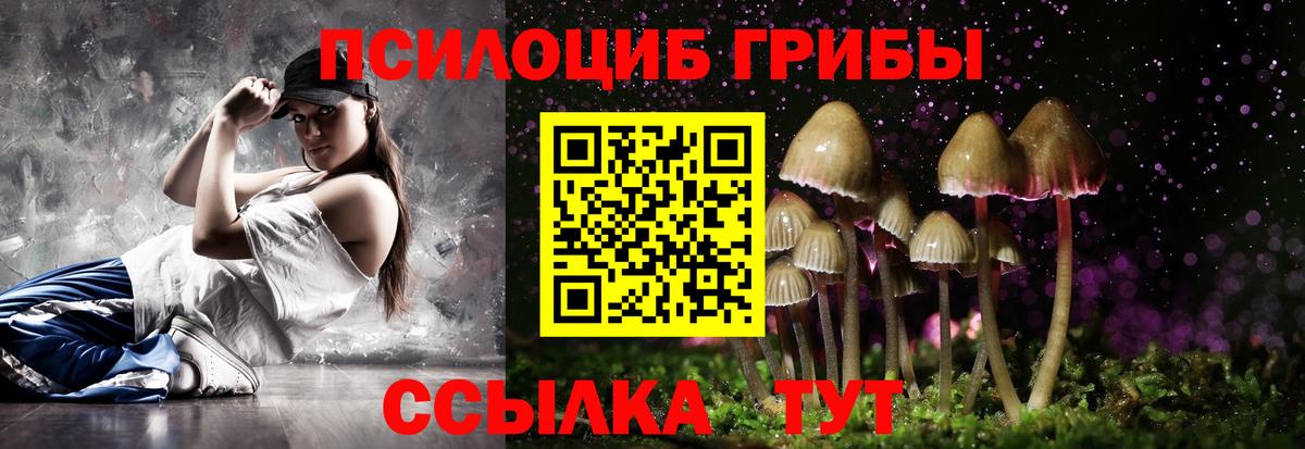 Галлюциногенные грибы GOLDEN TEACHER Мурманск